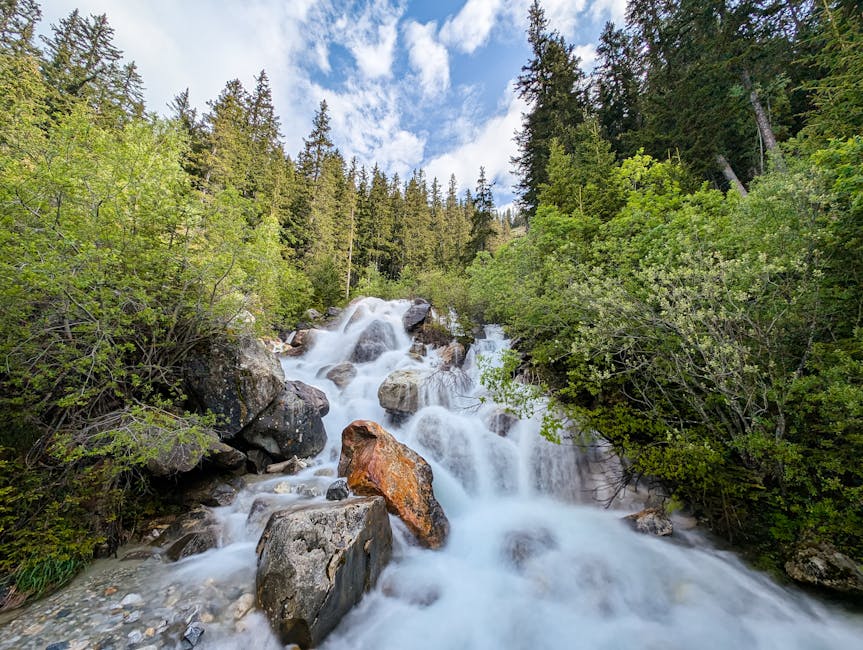 Comment accéder à French Stream facilement ?