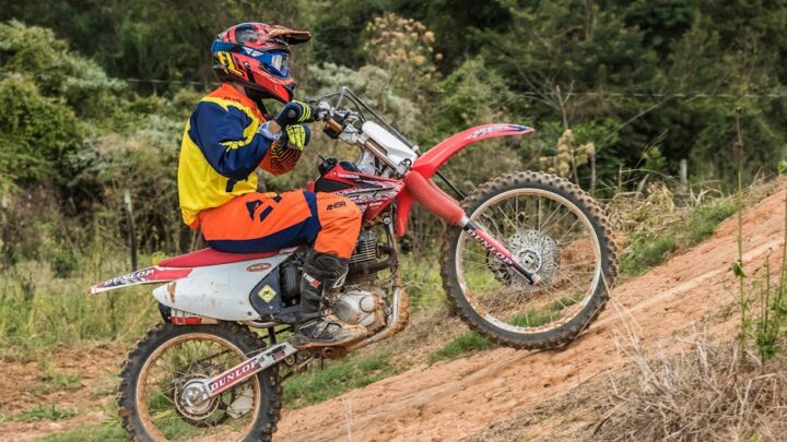 Les bienfaits de la nature sur le bien-être