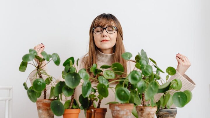 Détente et bien-être : idées à découvrir