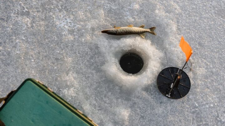 Exploration des curiosités du monde