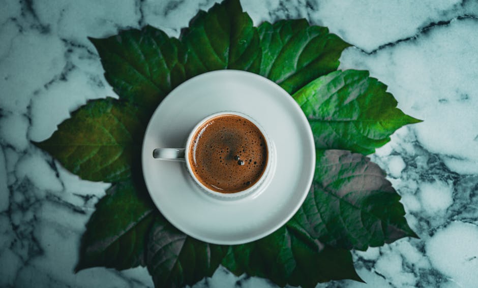 Inspiration pour égayer votre quotidien