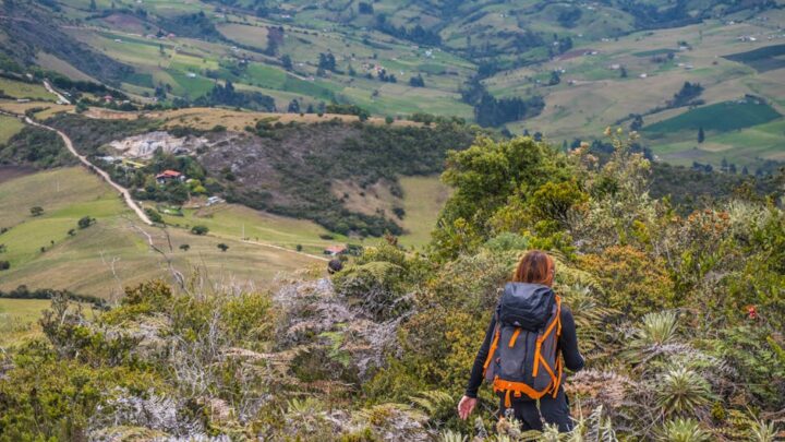 L’importance de la nature dans notre bien-être