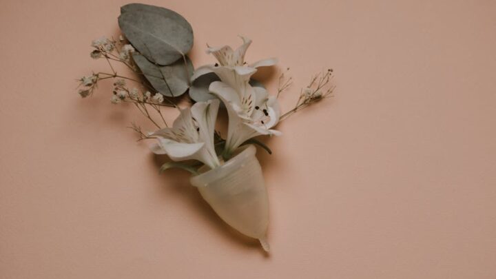 L’art de vivre : conseils pour une existence harmonieuse